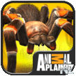 Real Scary Spiders v1.2.7 Mod.apk