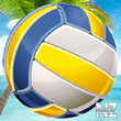 Beach Volleyball World Cup v1.0.apk