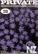 Private_Magazine_028.pdf