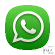 WhatsApp_Messenger_v2_16_243.apk