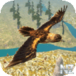 Eagle Bird Simulator v1.0.apk