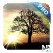 Sun Rise Pro Live Wallpaper v4.3.4.apk