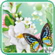 Butterflies Live Wallpaper HD v1.0.4.apk