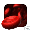 Lifeblood Live Wallpaper v1.1.0.apk