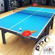 Pro Arena Table Tennis v1.0.0.apk