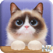 Shui The Kitten v1.0.7.apk