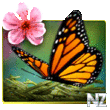 Season Zen HD v1.9.5.2033.apk