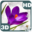 Crocus Flowers Among Icy Snow Deluxe FULL v1.3.apk
