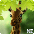 Giraffe HD Parallax LWP Pro v1.0.apk