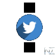 Tweets on Wear v1.5.apk