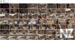 Melissa_Debling_Sexy_Blue_Lingerie.mp4