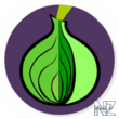 Onion v1.5.1.ipa