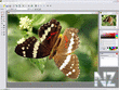 Altarsoft Photo Editor v1.5