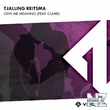 Tjalling Reitsma ft. Claire - Give Me Meaning (Original Mix)