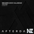 Sneijder & Nick Callaghan - Absorb (Extended Mix)