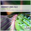 Moonnight & Angel Falls - Love Is The Key (Dj Artak Remix)