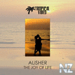 Alisher - The Joy Of Life (Original Mix)