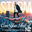 Storm - Can You Feel It (StoneBridge, Damien Hall Remix)