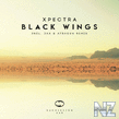 Xpectra Black Wings (Original Mix)