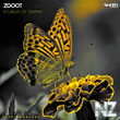 ZGOOT - Sounds Of Spring