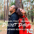 Arash feat. Helena-Dooset Daram