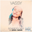 VASSY feat. Sultan & Shepard - Somebody New