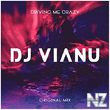 DJ Vianu - Driving Me Crazy (Original Mix)