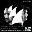 Adam K & Soha feat. HALIENE & Matthew Steeper - Twilight vs Brea