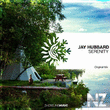 Jay Hubbard - Serenity (Original Mix)
