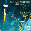 Curtis Walsh - Perfect Rain (Trial & Error Remix)