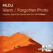 MLDJ - Forgotten Photo (Original Mix)