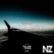 Leonety - Sunflight Feelings (DTALM Remix)