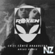 Roxen - Ce-Ti Canta Dragostea (Arias Remix)